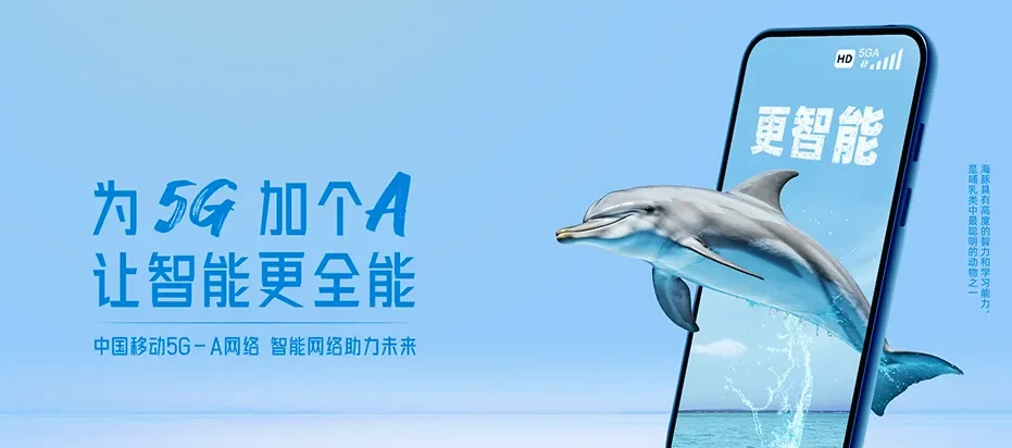 高州市高州市大坡镇 移动宽带